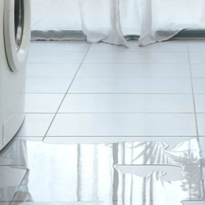 Appliance Leak Cleanup in Prescott, AR