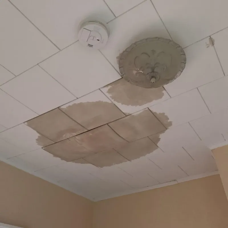 Ceiling Water Damage Repair in Prescott, AR